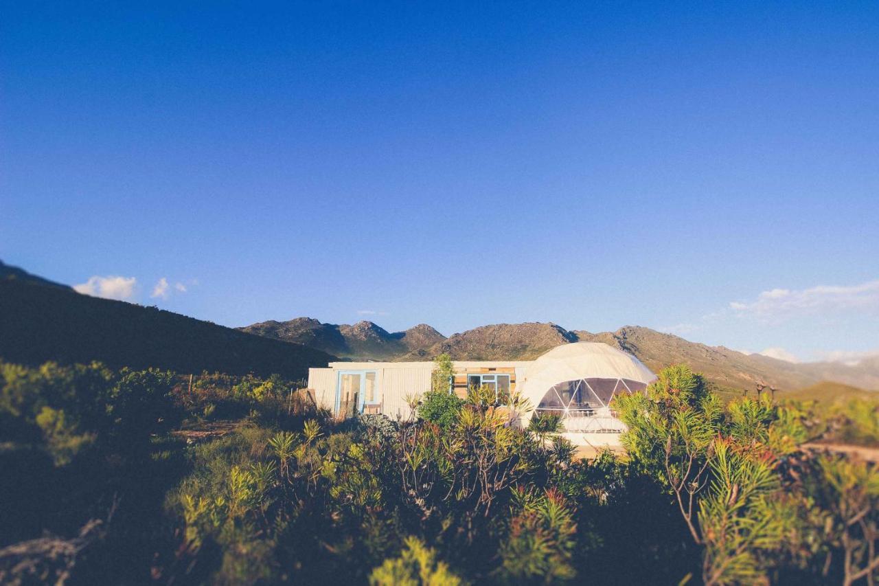 Villa Starry Starry Night - Route 62 à Montagu Extérieur photo
