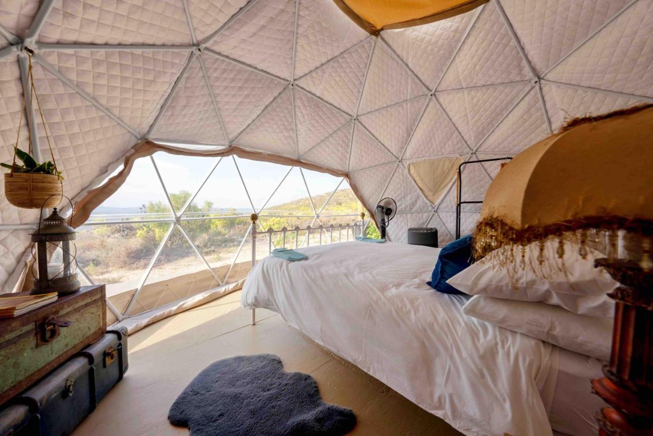 Villa Starry Starry Night - Route 62 à Montagu Extérieur photo